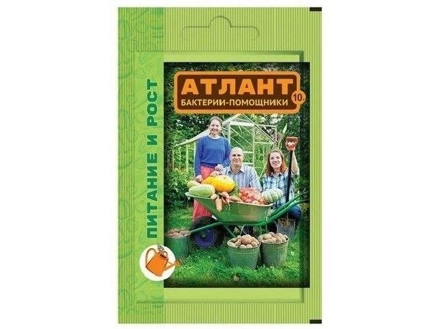 Питание и Рост ( пакет 10 гр.) ВХ